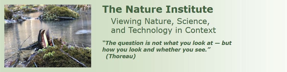 Dr. Rudolf Steiner Bookstore and Marketplace