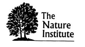 Dr. Rudolf Steiner Bookstore and Marketplace