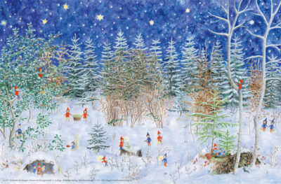 Forest of the Gnomes