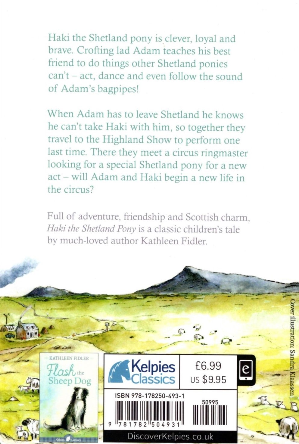 Haki the Shetland Pony - Image 2