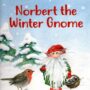 Norbert the Winter Gnome