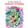 Viral Illness and Epidemics in the Work of Rudolf Steiner