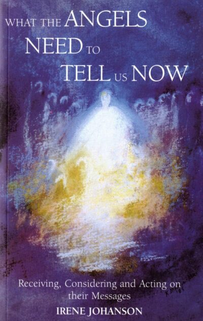 What the Angels Need to Tell Us Now (Used)
