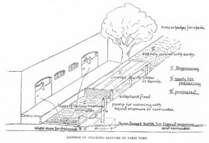 Dr. Rudolf Steiner Bookstore and Marketplace