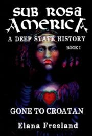 Sub Rosa America (Book I)