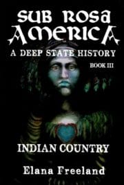 Sub Rosa America (Book III)