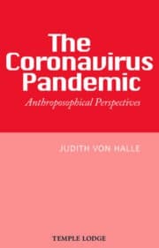 The Coronavirus Pandemic
