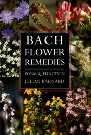 Bach Flower Remedies