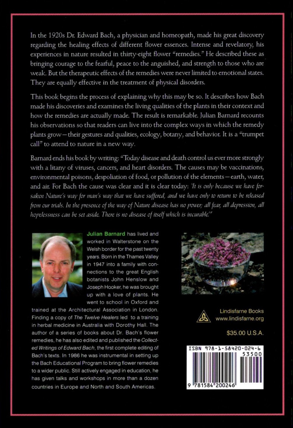 Bach Flower Remedies - Image 2