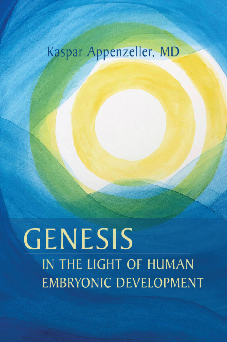 Genesis Example Growth Genesis in the Light of Human Embryonic Development by Kaspar ...