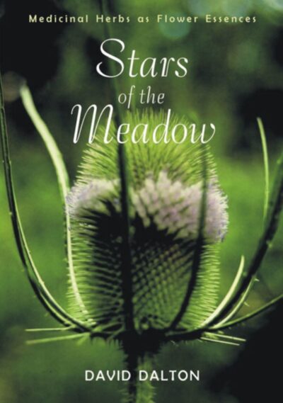 Stars of the Meadow