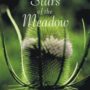 Stars of the Meadow