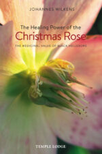 The Healing Power of the Christmas Rose The Healing Power of the Christmas Rose