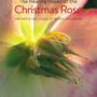 The Healing Power of the Christmas Rose