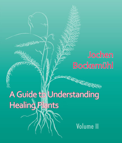 A Guide to Understanding Healing Plants: Volume II
