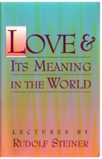 Love and Its Meaning in the World