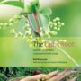 The Light Root