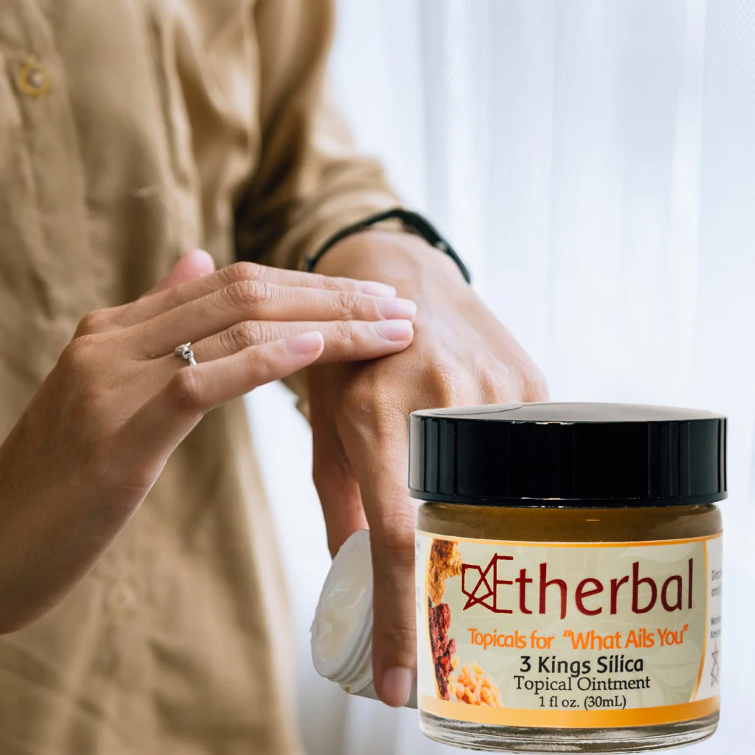 Dr. Rudolf Steiner Bookstore and Marketplace