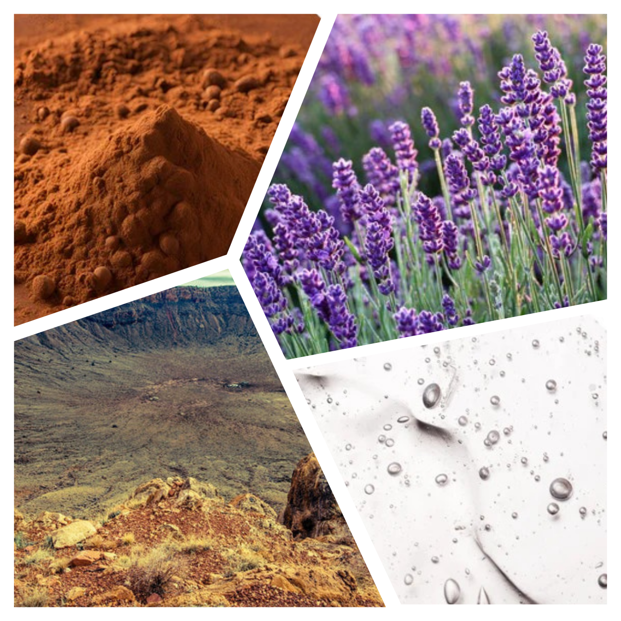 Dr. Rudolf Steiner Bookstore and Marketplace