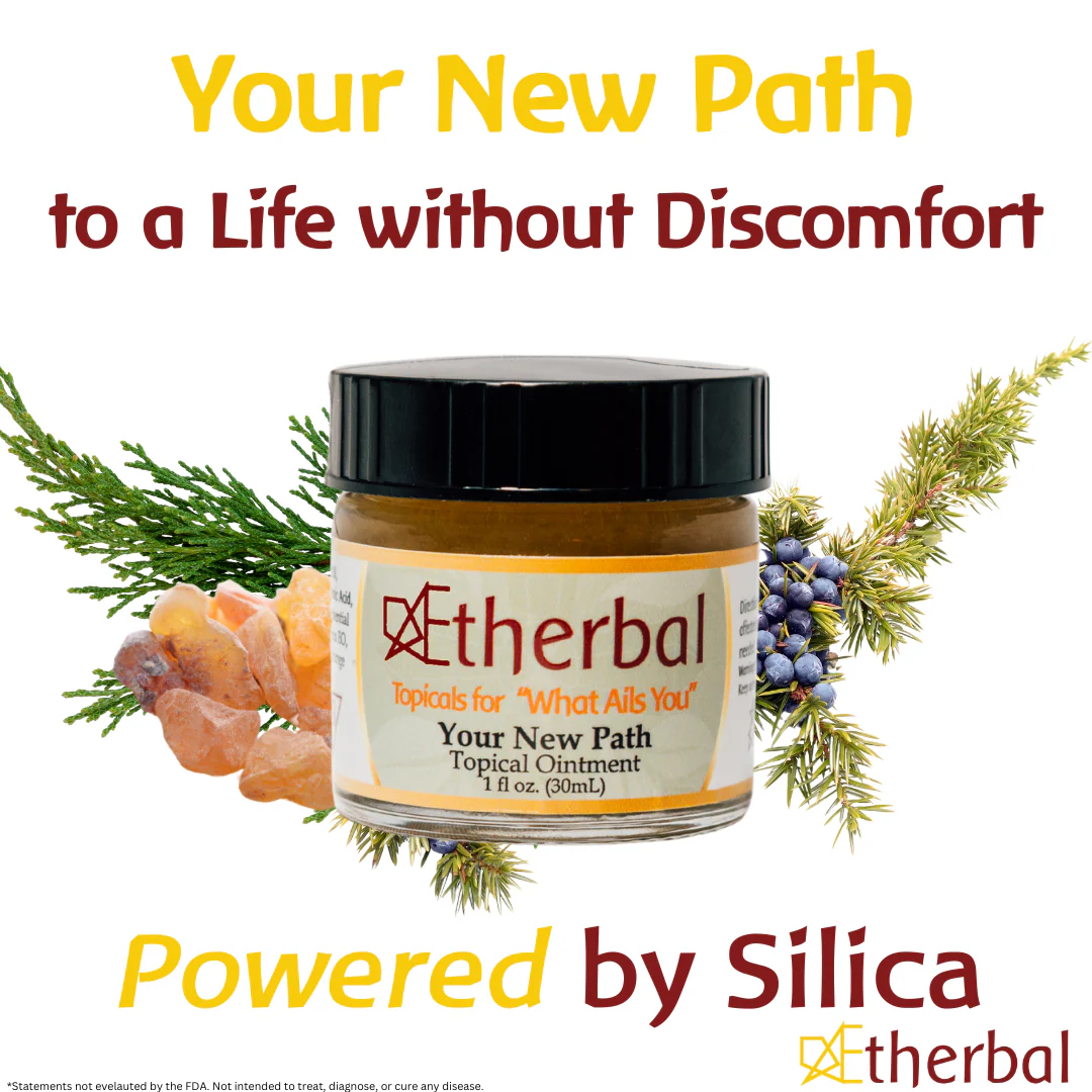 Your New Path - Image 4