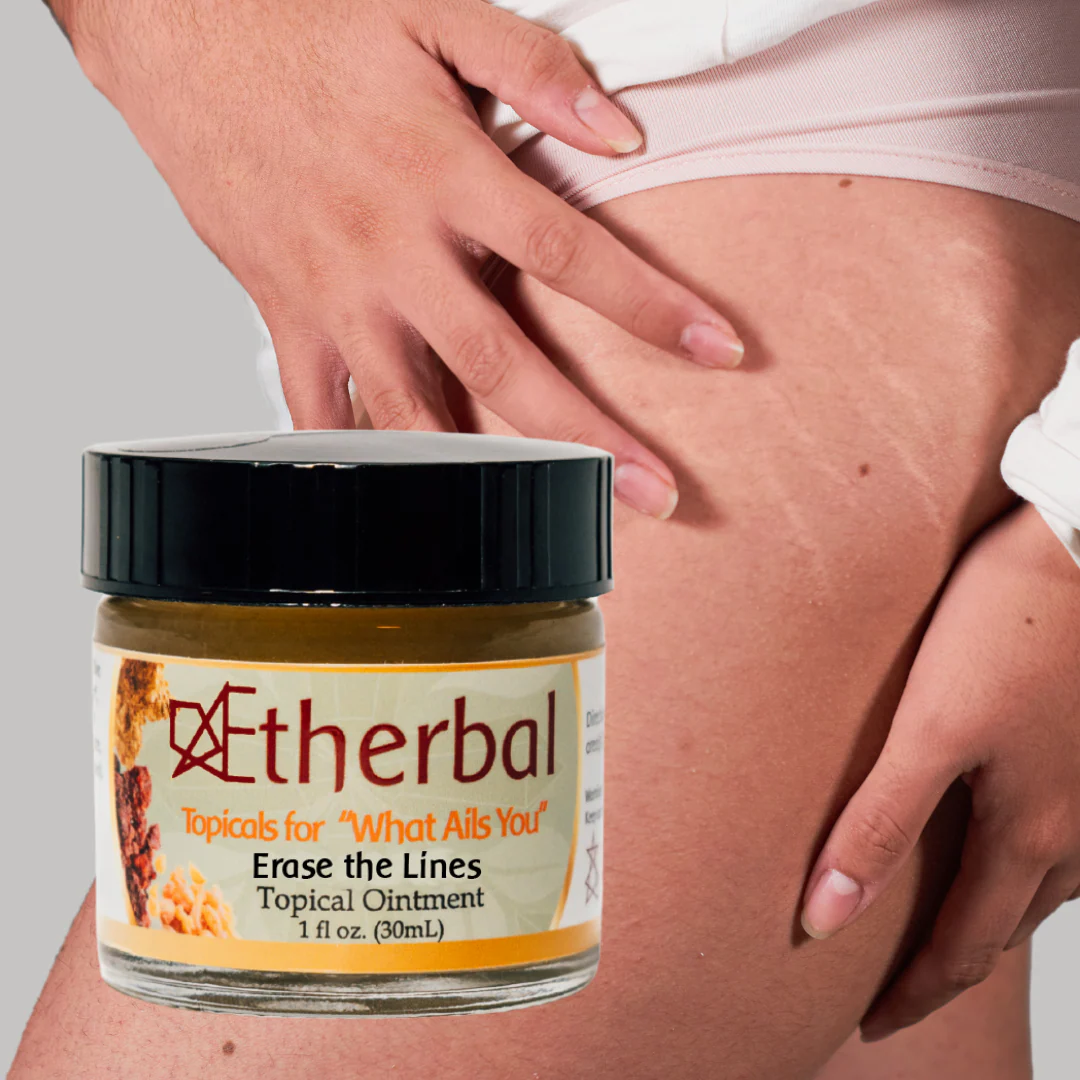 Dr. Rudolf Steiner Bookstore and Marketplace