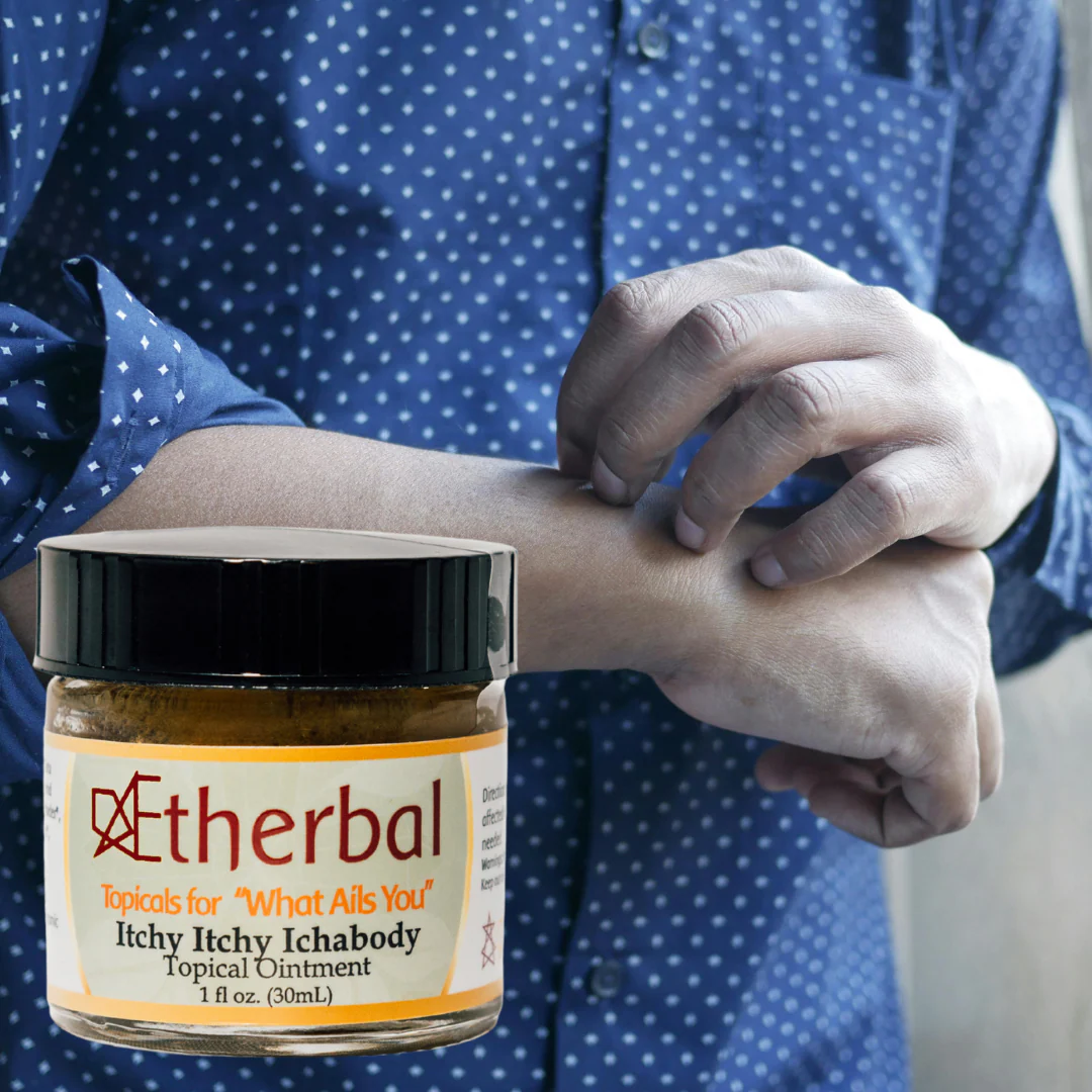 Dr. Rudolf Steiner Bookstore and Marketplace