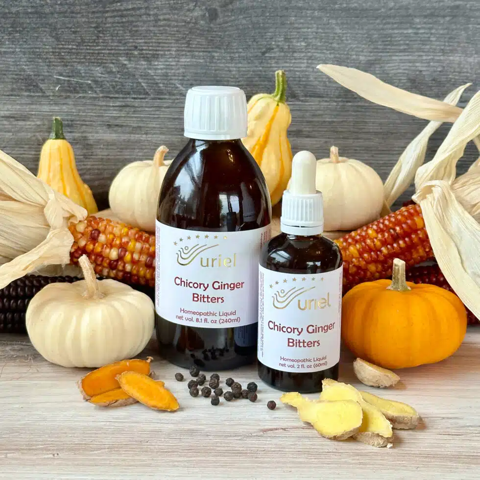 Dr. Rudolf Steiner Bookstore and Marketplace