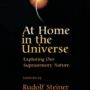 At Home in the Universe by Rudolf Steiner - SteinerBooks