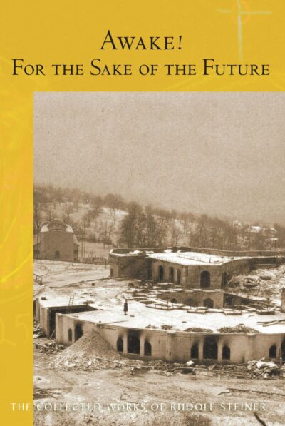 Awake! For the Sake of the Future (CW220) by Rudolf Steiner - SteinerBooks