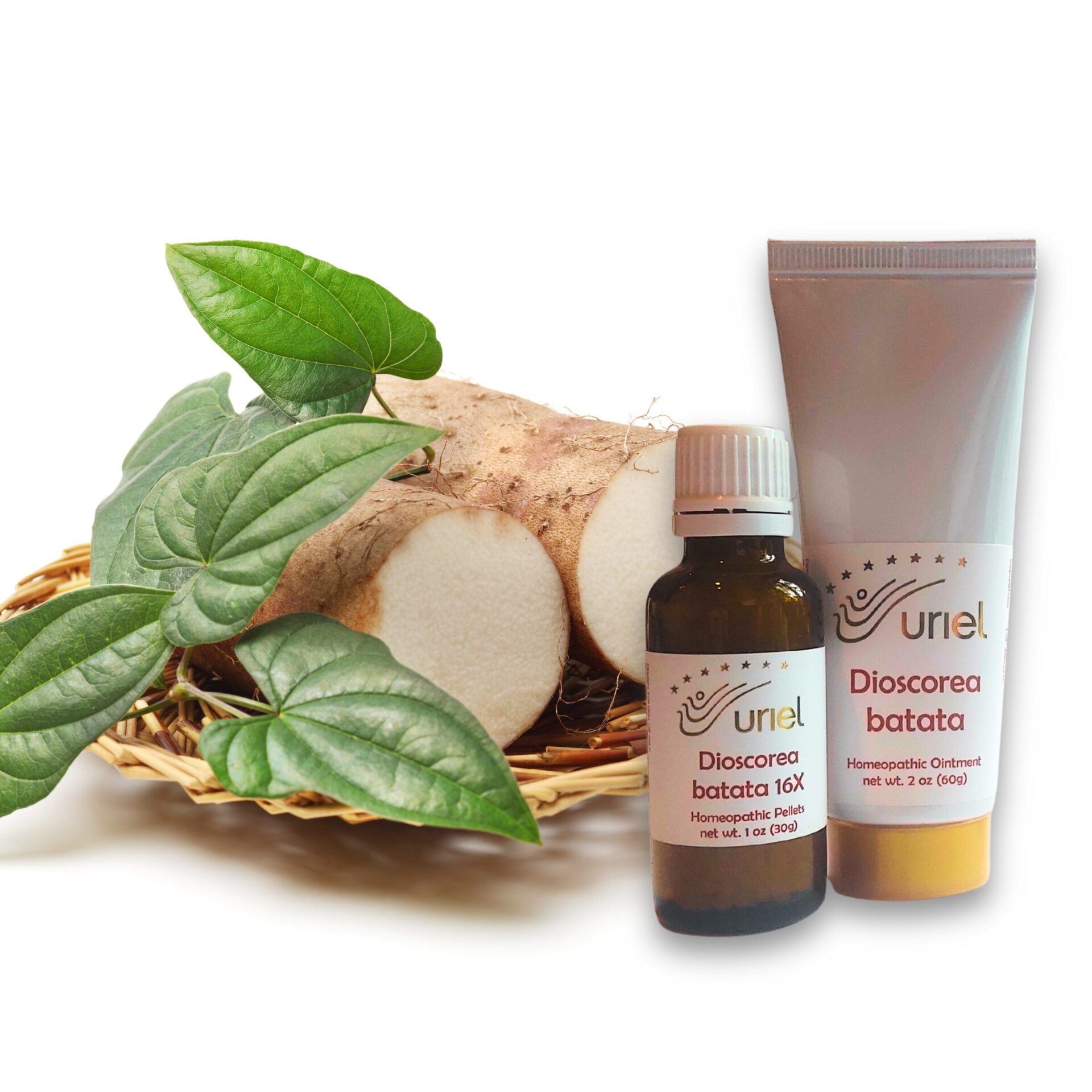 Light Root Preparations — Dioscorea batata 16X pellets and ointment by Barbara M V Scott and Uriel Pharmacy