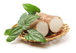 Light Root (Dioscorea batata) 16X