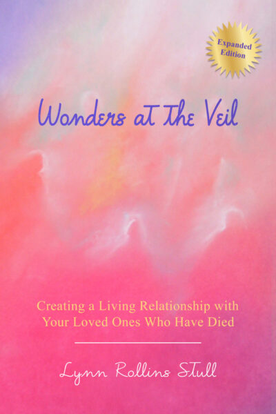 Wonders at the Veil by Lynn Rollins Stull | Rudolf Steiner Bookstore