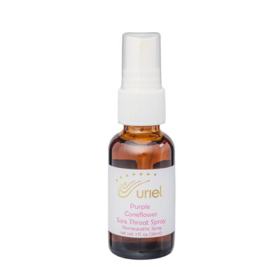 Purple Coneflower Spray by Uriel Pharmacy
