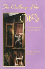 The Challenge of the Will by Margret Meyerkort | Rudolf Steiner Bookstore