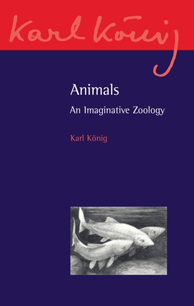 Animals by Karl König | Rudolf Steiner Bookstore
