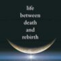 Life Between Death and Rebirth by Rudolf Steiner | Rudolf Steiner Bookstore