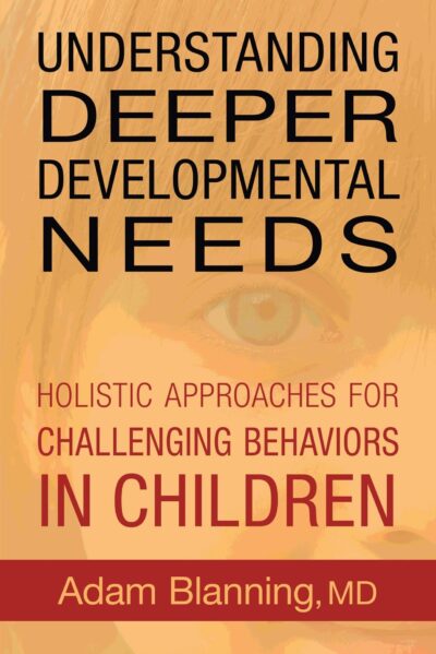 Understanding Deeper Developmental Needs by Adam Blanning | Rudolf Steiner Bookstore