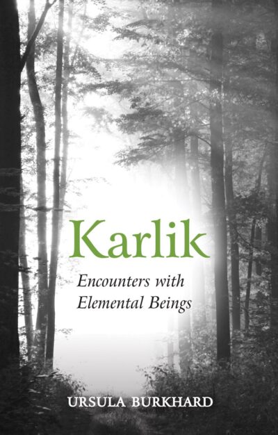 Karlik by Ursula Burkhard | Rudolf Steiner Bookstore