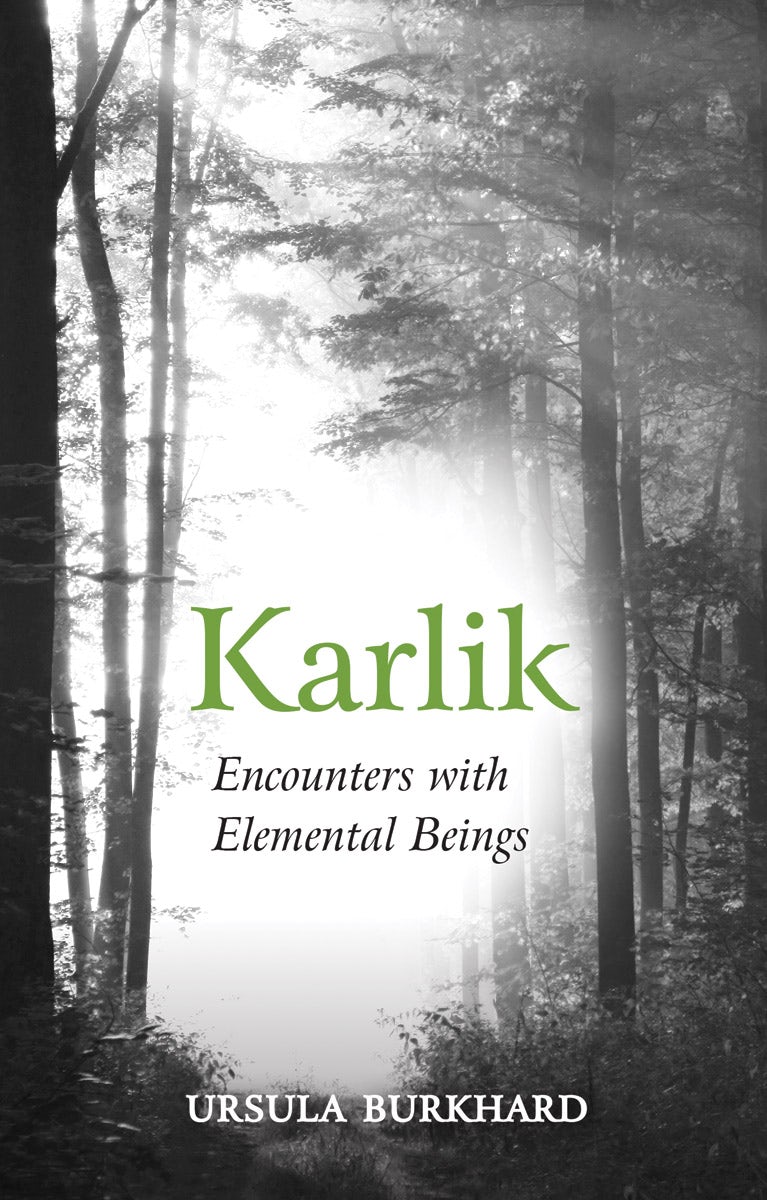 Karlik by Ursula Burkhard | Rudolf Steiner Bookstore