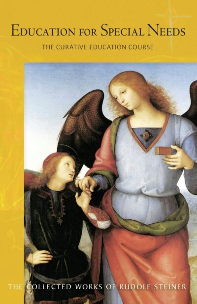 Education For Special Needs (CW 317) by Rudolf Steiner | Rudolf Steiner Bookstore
