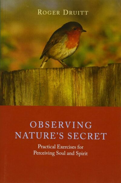 Observing Nature's Secret by Roger Druitt | Rudolf Steiner Bookstore