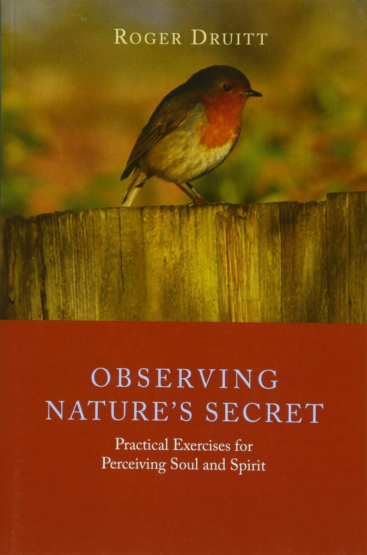 Observing Nature's Secret by Roger Druitt | Rudolf Steiner Bookstore