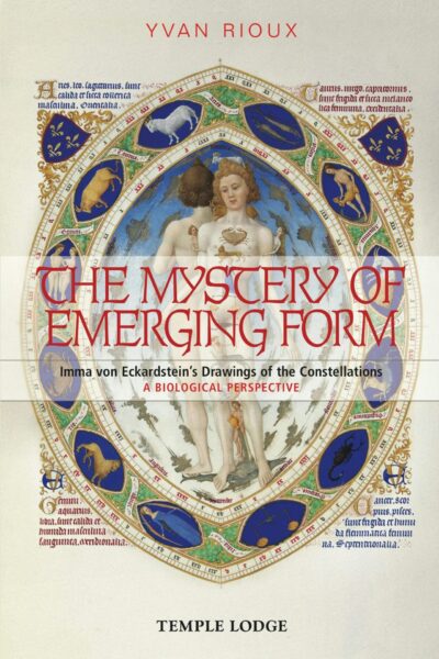 The Mystery of Emerging Form by Yvan Rioux | Rudolf Steiner Bookstore