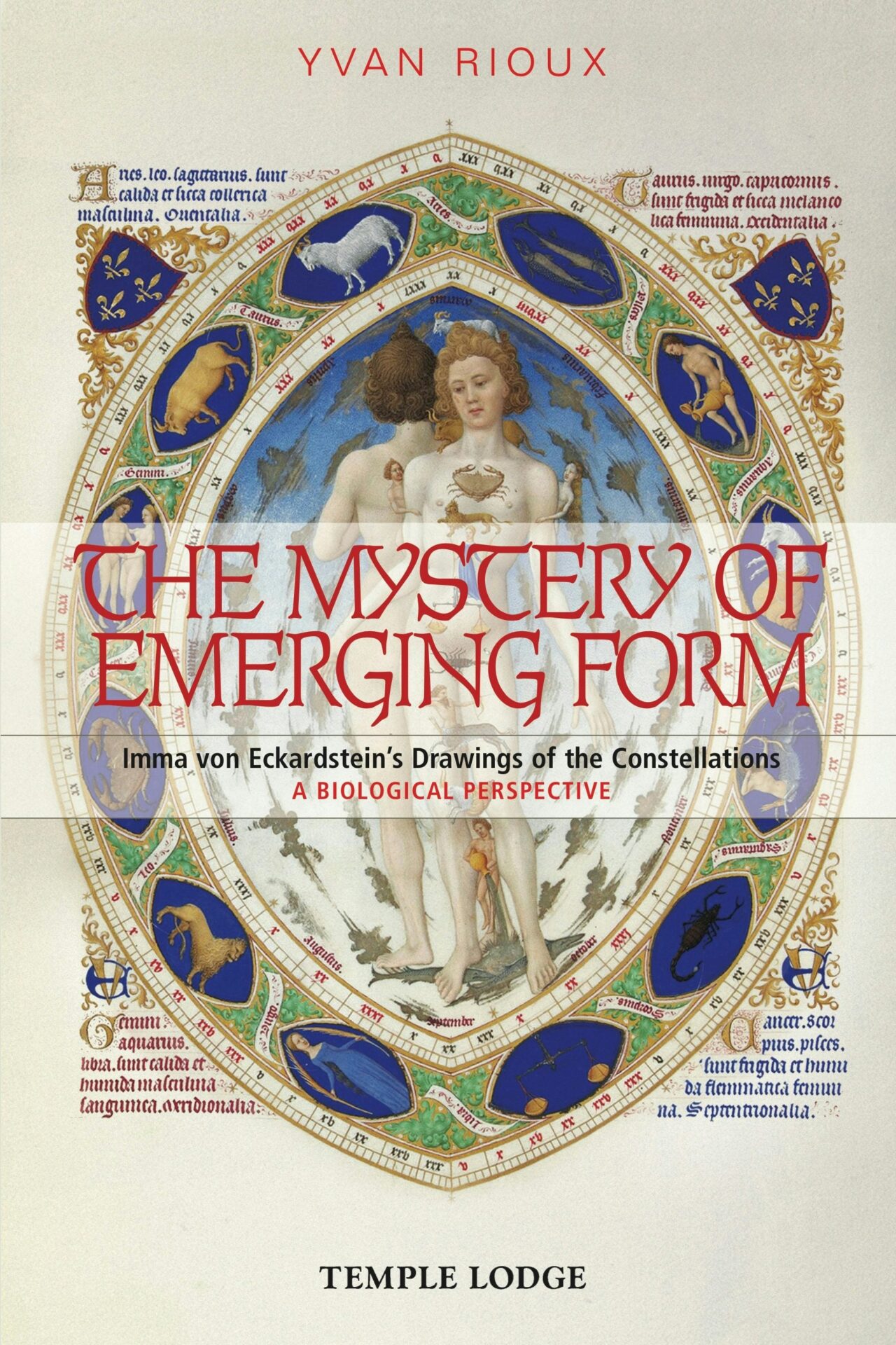 The Mystery of Emerging Form by Yvan Rioux | Rudolf Steiner Bookstore