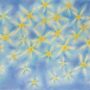 Advent Stars