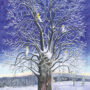 The Story of the Lime Tree (Card)