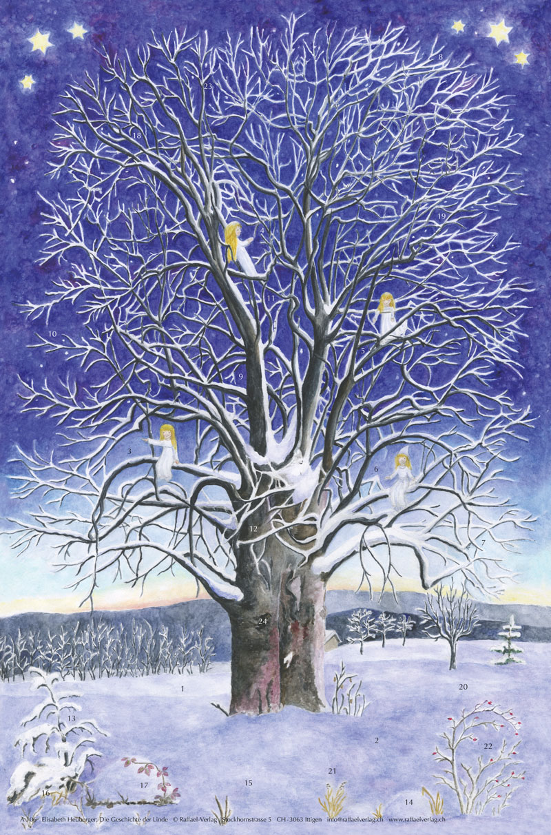The Story of the Lime Tree